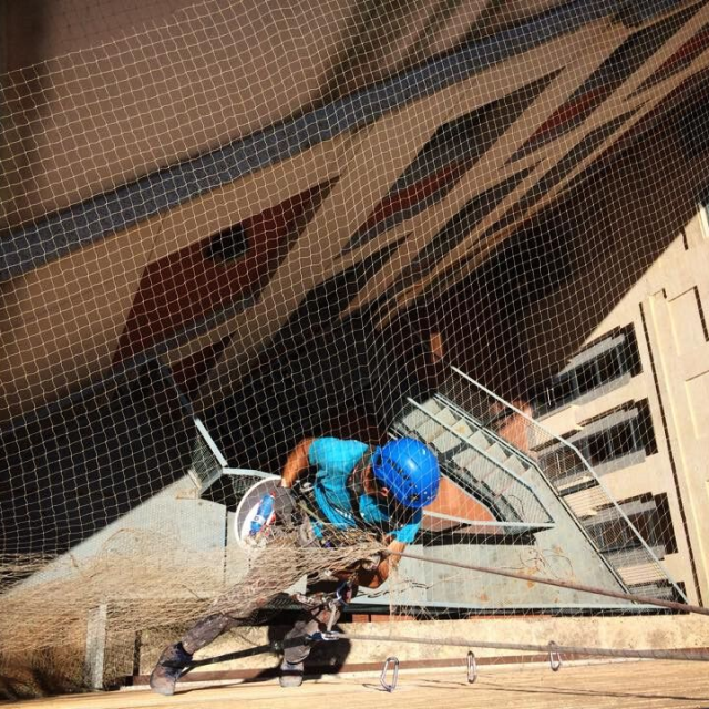 PALOMAS, LA PLAGA EN CASA.