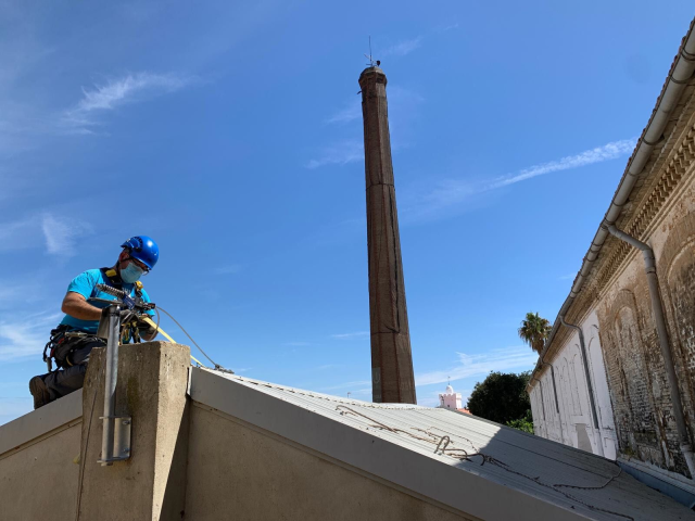 QUE SON LAS LINEAS DE VIDA?