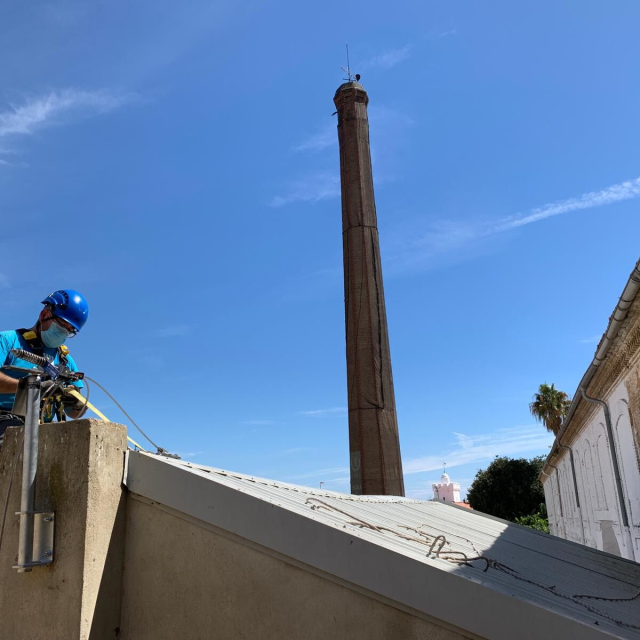 QUE SON LAS LINEAS DE VIDA?