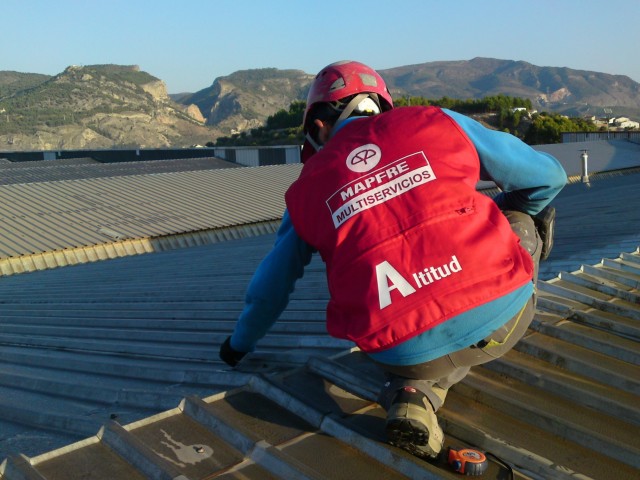 Diagnosis y toma de muestras